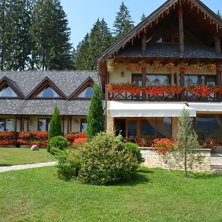 Pensiunea Inima Bucovinei Frasin Extérieur photo