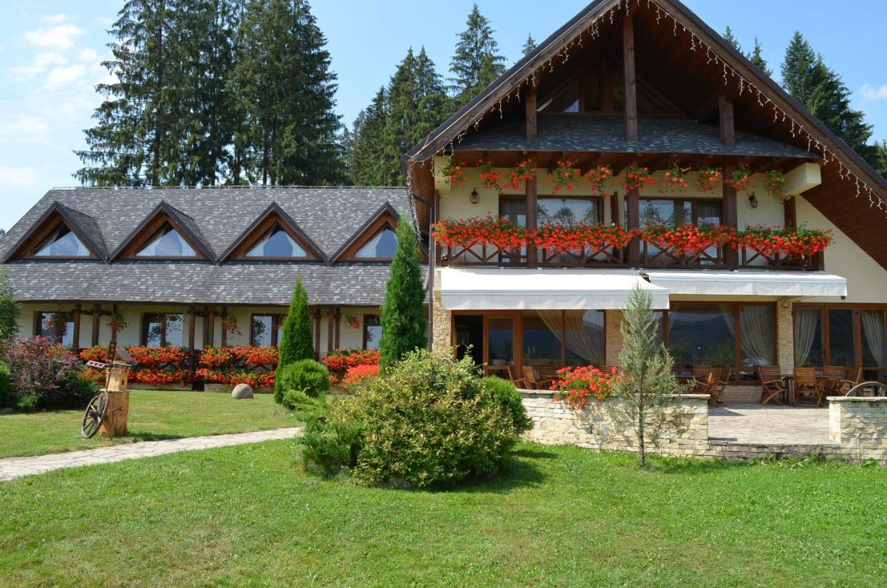Pensiunea Inima Bucovinei Frasin Extérieur photo