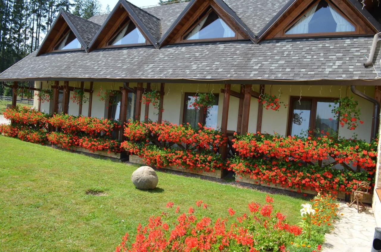 Pensiunea Inima Bucovinei Frasin Extérieur photo