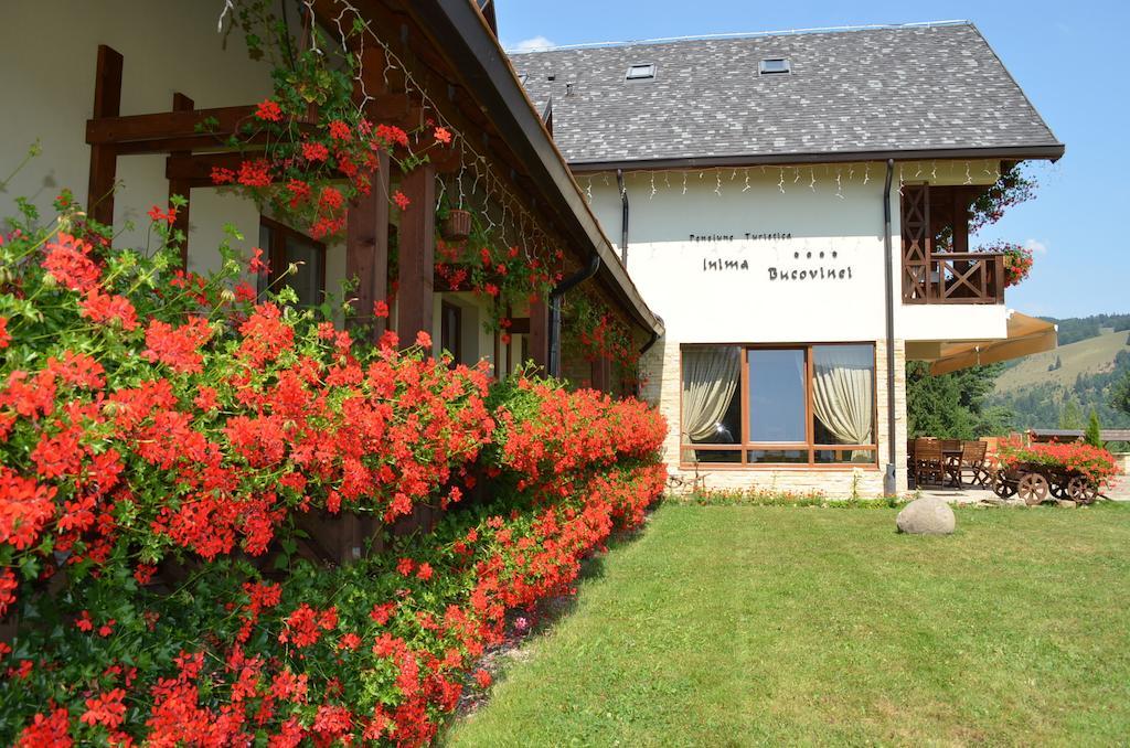 Pensiunea Inima Bucovinei Frasin Extérieur photo